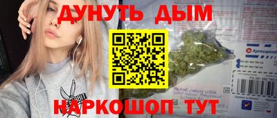 mdpv Гатчина