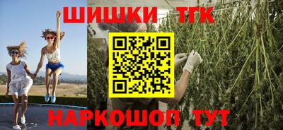 mdpv Гатчина