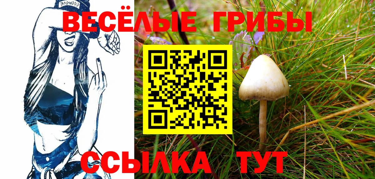 Галлюциногенные грибы MAGIC MUSHROOMS  Вход с VPN  Тимашёвск 